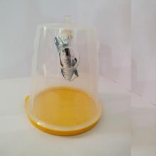 Fruit Fly Trap Container 2