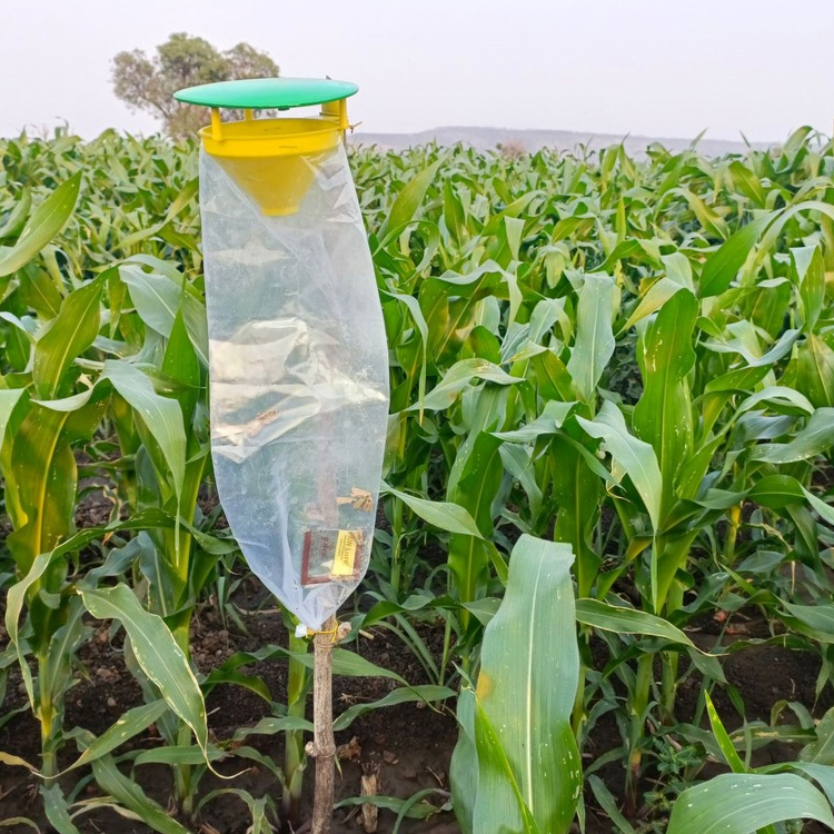 FUNNEL TRAP