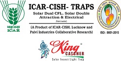 icar-king