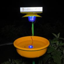 CISH TRAP - 2