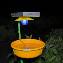 CISH TRAP - 2